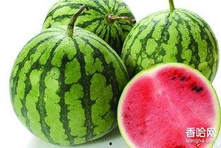 疫情期间娱乐圈吃瓜,吃瓜群众见证的幕后风云