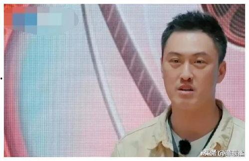 娱乐圈吃瓜爆料谁,揭秘明星背后的秘密与真相