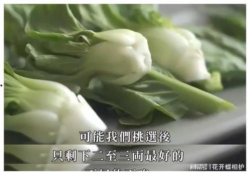 娱乐吃瓜酱的瓜是真的吗,真相还是谣言?