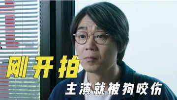 娱乐吃瓜君的视频,视频内容大起底,热点事件深度剖析